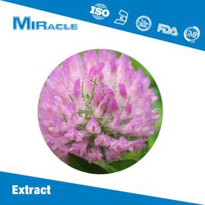 Red Clover Extract Powder