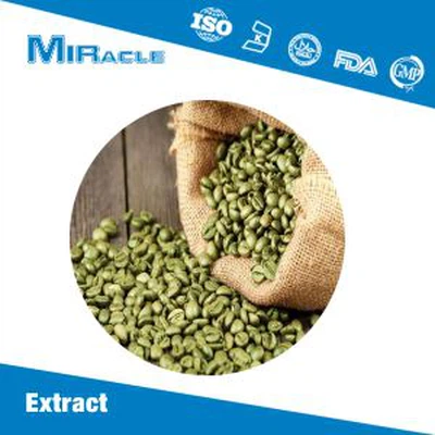 Green Coffee Bean Extract Powder