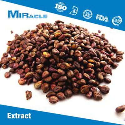 Grape Seed Extract Powder