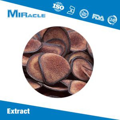 Deer Antler Velvet Extract Powder