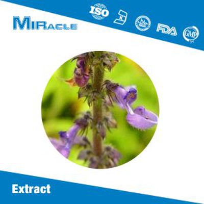 Forskolin Powder