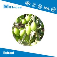 Olive Leaf Extract Powder