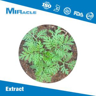 Artemisinin Powder