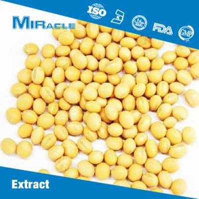 Soybean Extract Powder