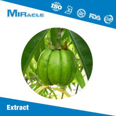 Garcinia Cambogia Extract Powder