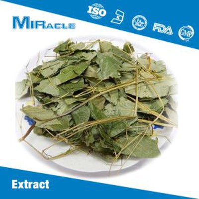 Icariin Powder