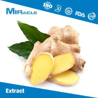 Ginger Extract Powder