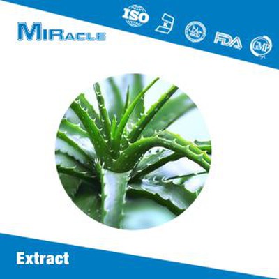 Aloe Vera Extract Powder