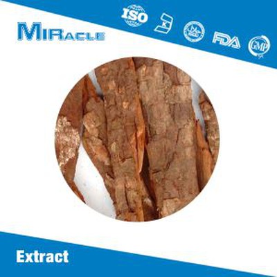 Tongkat Ali Extract Powder